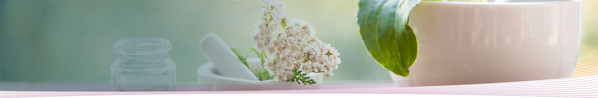 Atelier cuisine Muret, Atelier cuisine Toulouse, Maladie Auto-immune Muret, Maladie Auto-immune Toulouse, Naturopathe Muret, Naturopathe Toulouse, Nutritionniste Muret, Nutritionniste Toulouse, Ostéoporose Muret, Ostéoporose Toulouse, Rééquilibrage alimentaire Muret, Rééquilibrage alimentaire Toulouse, Régime alimentaire Muret, Régime alimentaire Toulouse, Stage Ménopause Muret, Stage Ménopause Toulouse, Suivi grossesse Muret, Suivi grossesse Toulouse, Trouble Digestif Muret, Trouble Digestif Toulouse