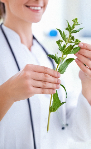 Atelier cuisine Muret, Atelier cuisine Toulouse, Maladie Auto-immune Muret, Maladie Auto-immune Toulouse, Naturopathe Muret, Naturopathe Toulouse, Nutritionniste Muret, Nutritionniste Toulouse, Ostéoporose Muret, Ostéoporose Toulouse, Rééquilibrage alimentaire Muret, Rééquilibrage alimentaire Toulouse, Régime alimentaire Muret, Régime alimentaire Toulouse, Stage Ménopause Muret, Stage Ménopause Toulouse, Suivi grossesse Muret, Suivi grossesse Toulouse, Trouble Digestif Muret, Trouble Digestif Toulouse